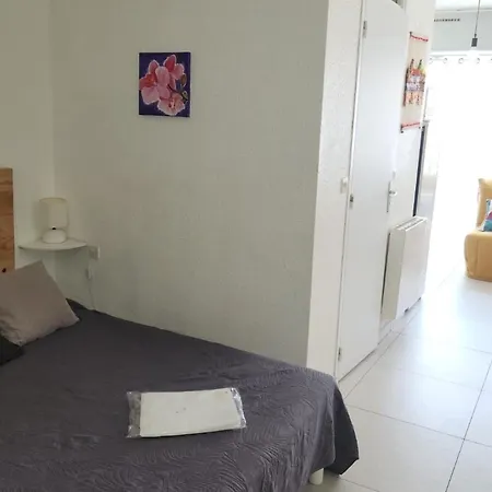 Cosy Proche Thermes - Animaux Admis Apartment Balaruc-les-Bains